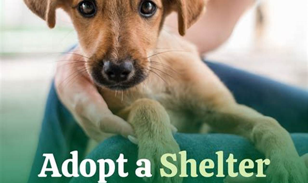 National Adopt A Shelter Pet Day 2024 Online