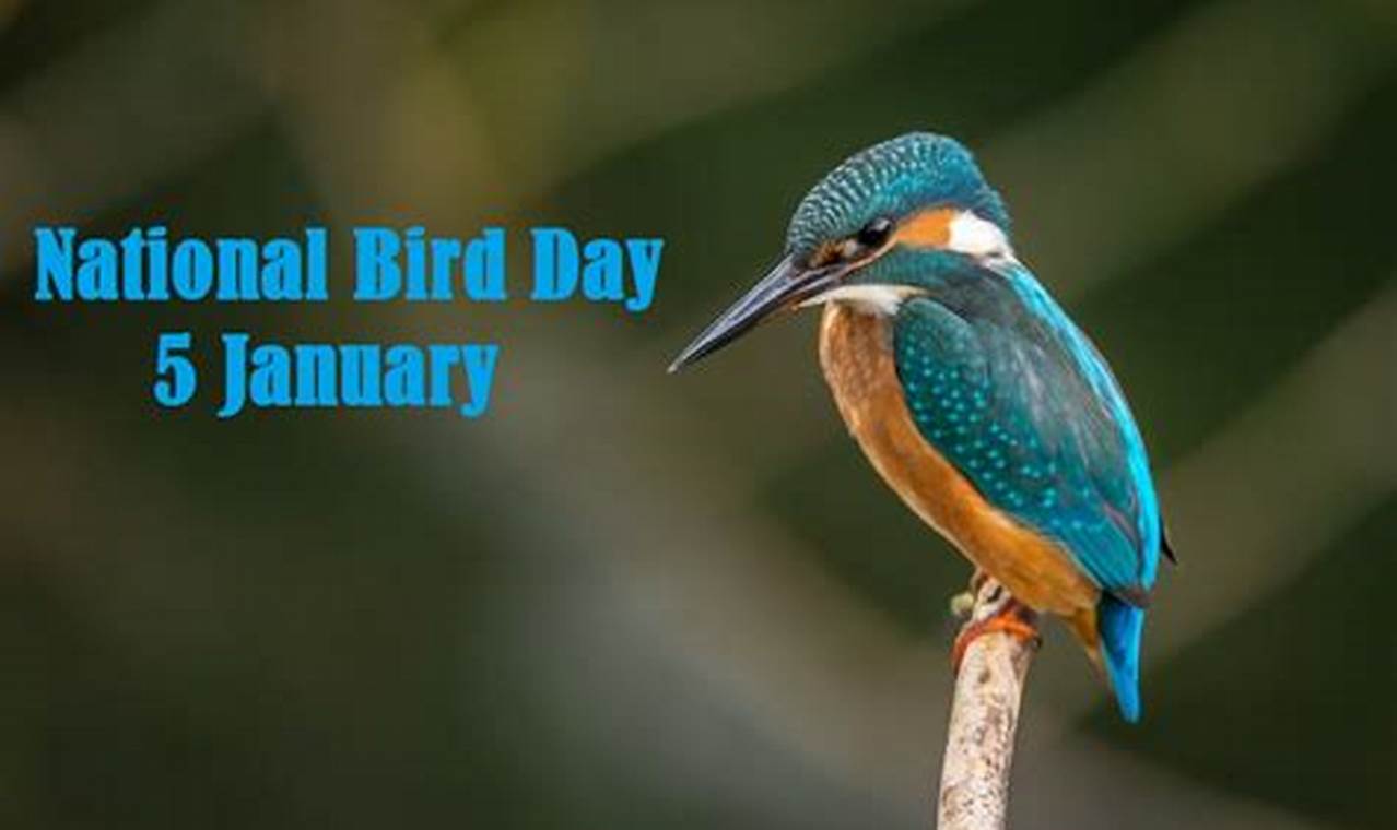 National Bird Day 2024 Images
