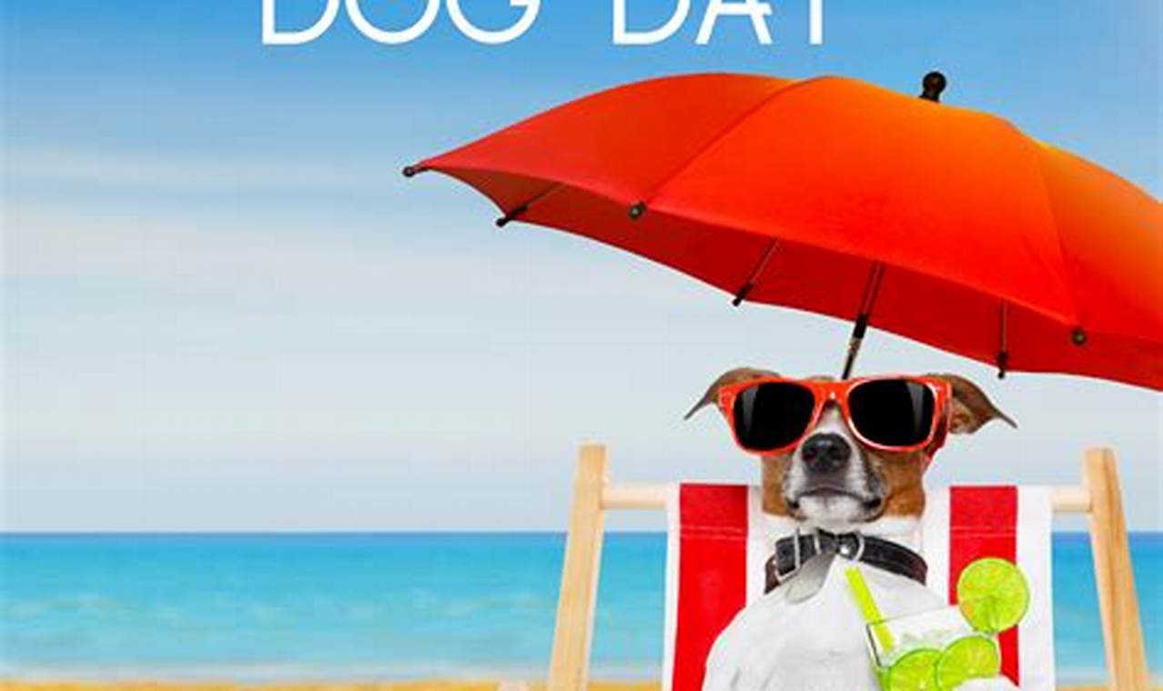 National Dog Day 2024 Images Funny
