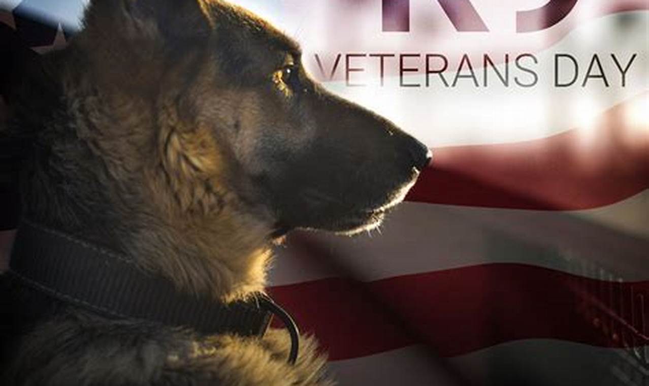 National K9 Veterans Day 2024 Events