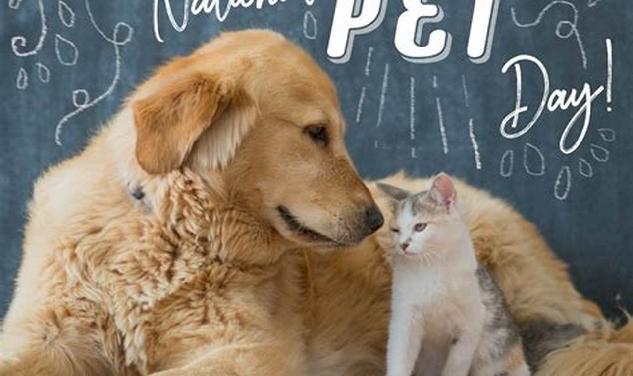 National Love Your Pet Day 2024 Memes