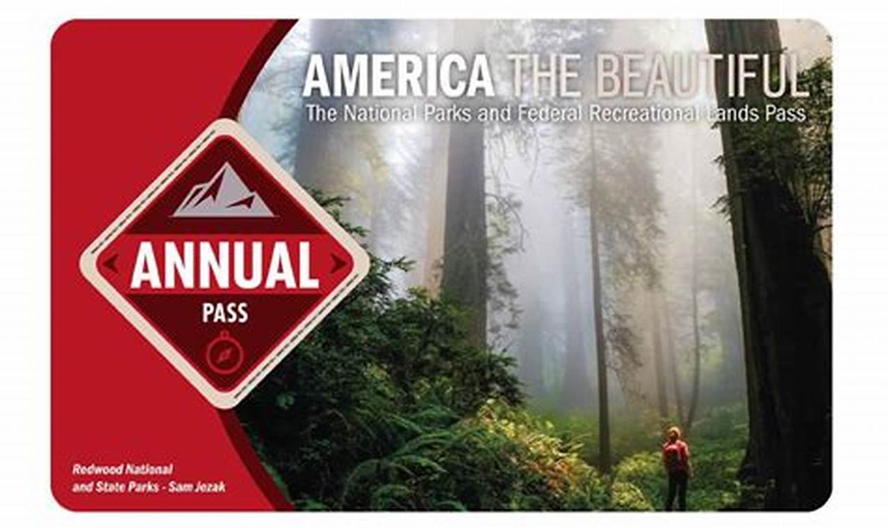National Park Pass For Seniors 2024