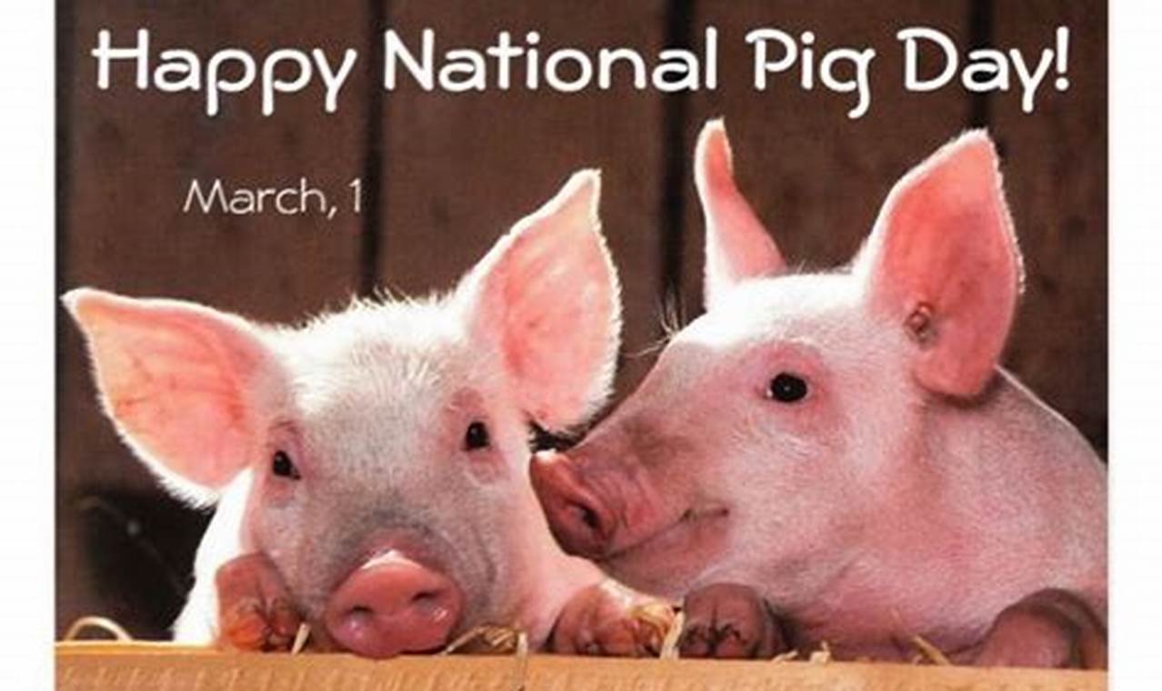National Pig Day 2024