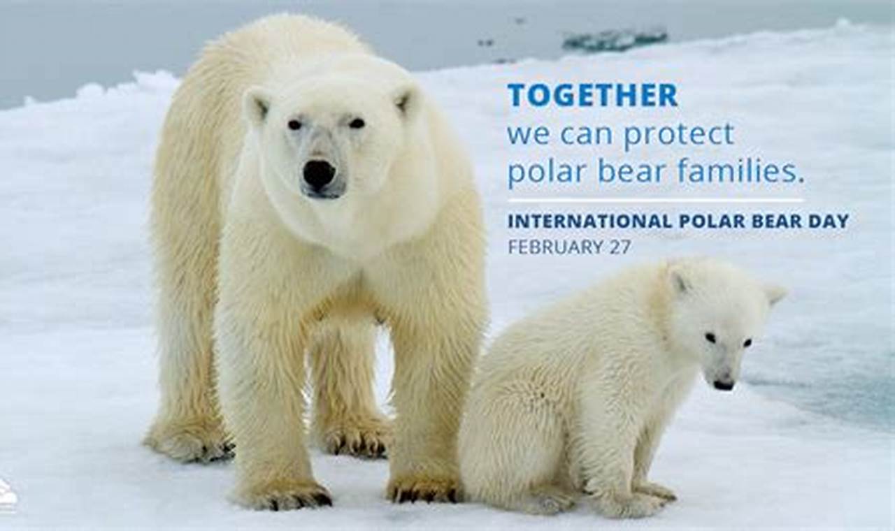 National Polar Bear Day 2024