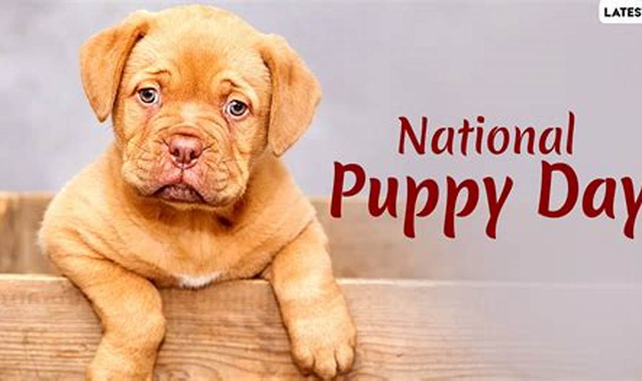 National Puppy Day 2024 Australia