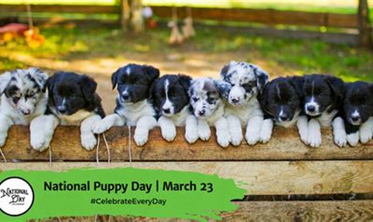 National Puppy Day 2024 Australia Uk