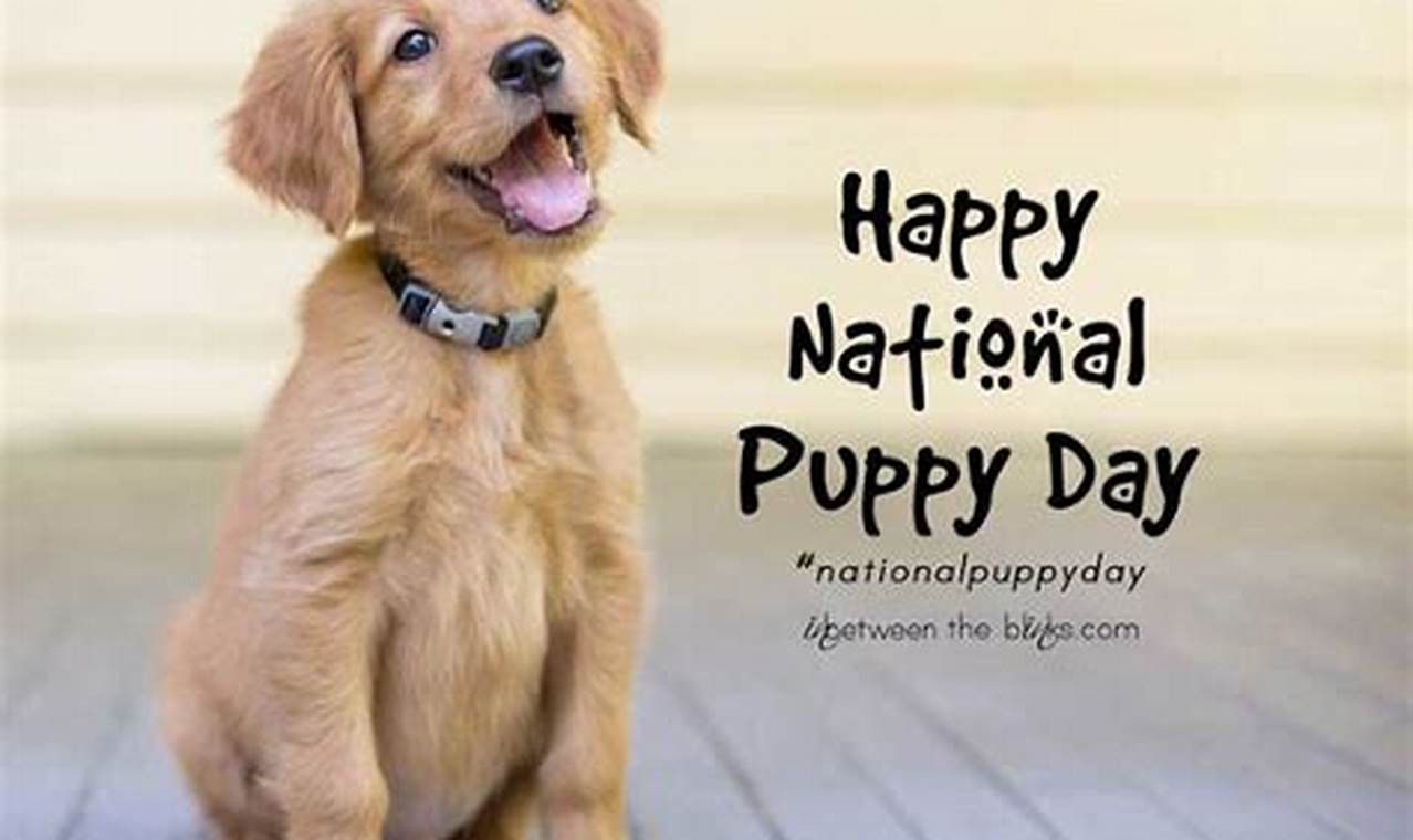 National Puppy Day 2024 Meme Images