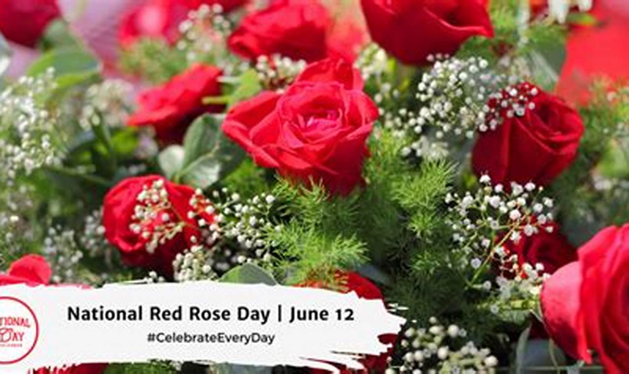 National Red Rose Day 2024 Calendar