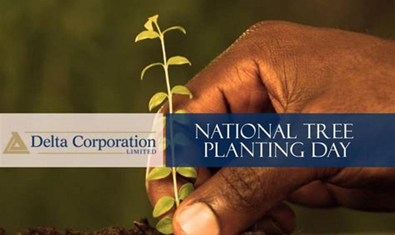National Tree Planting Day 2024