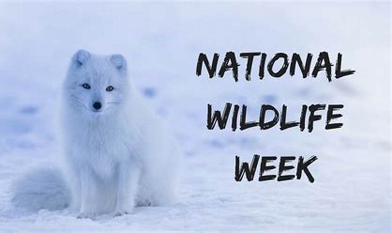 National Wildlife Refuge Week 2024 Uk