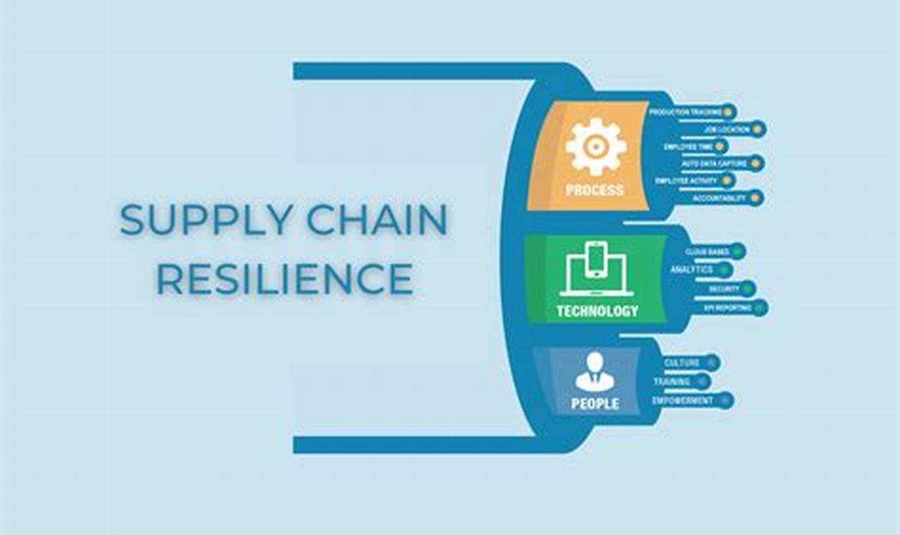 Navigating Supply Chain Disruptions: Resilience Strategies for Businesses