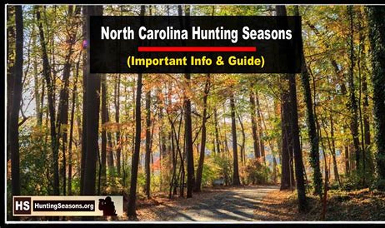 Nc Deer Hunting Season 2024