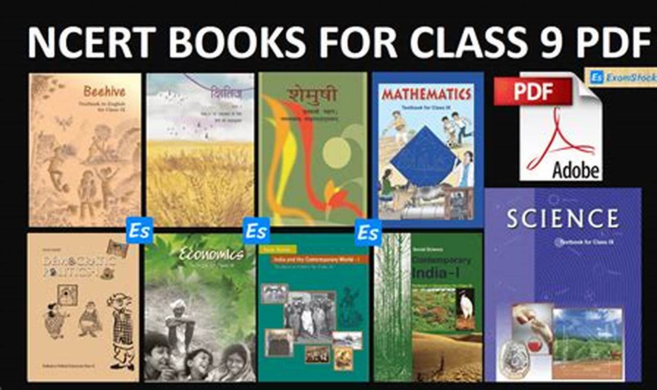 Ncert New Books 2024-25