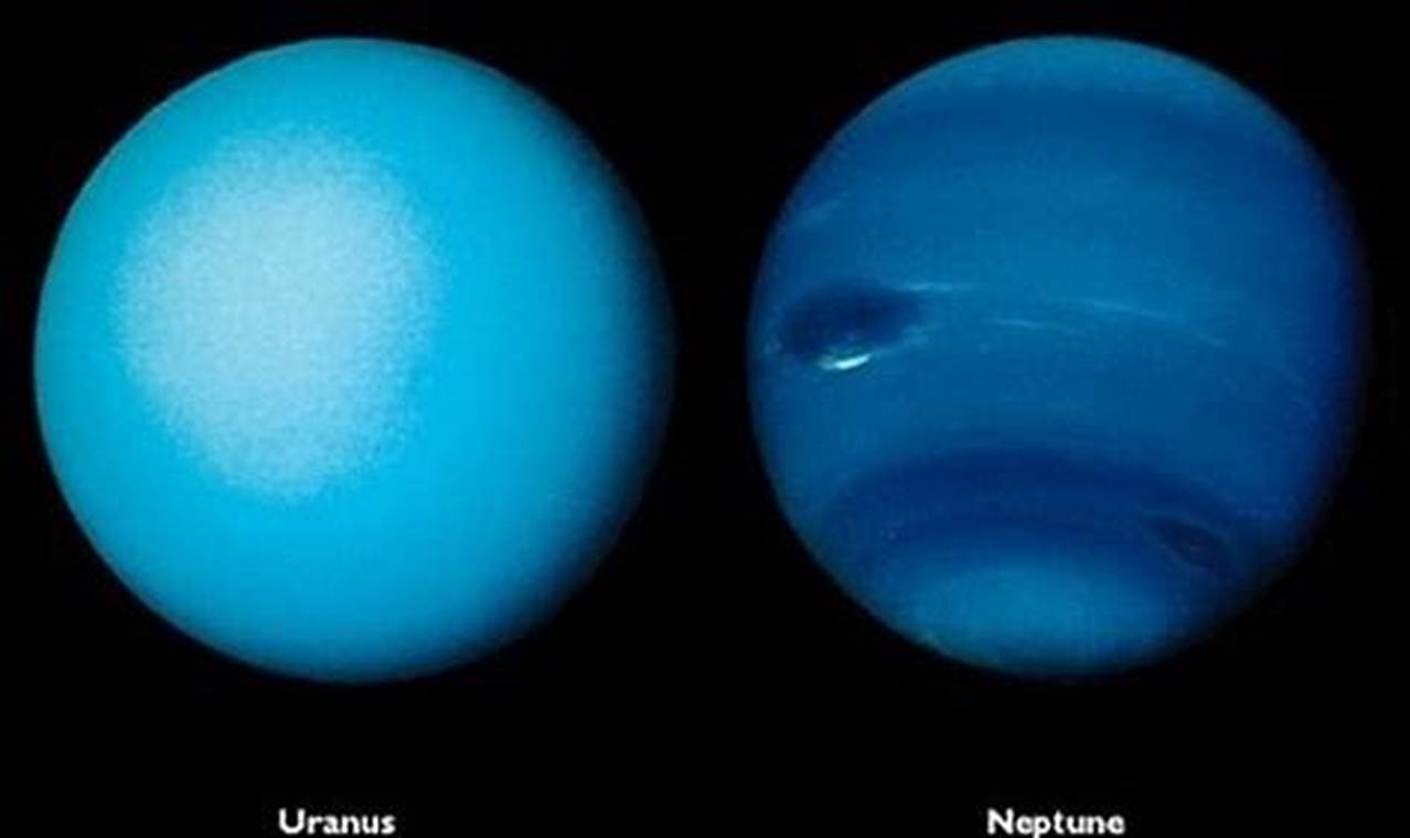 Neptune June 2024