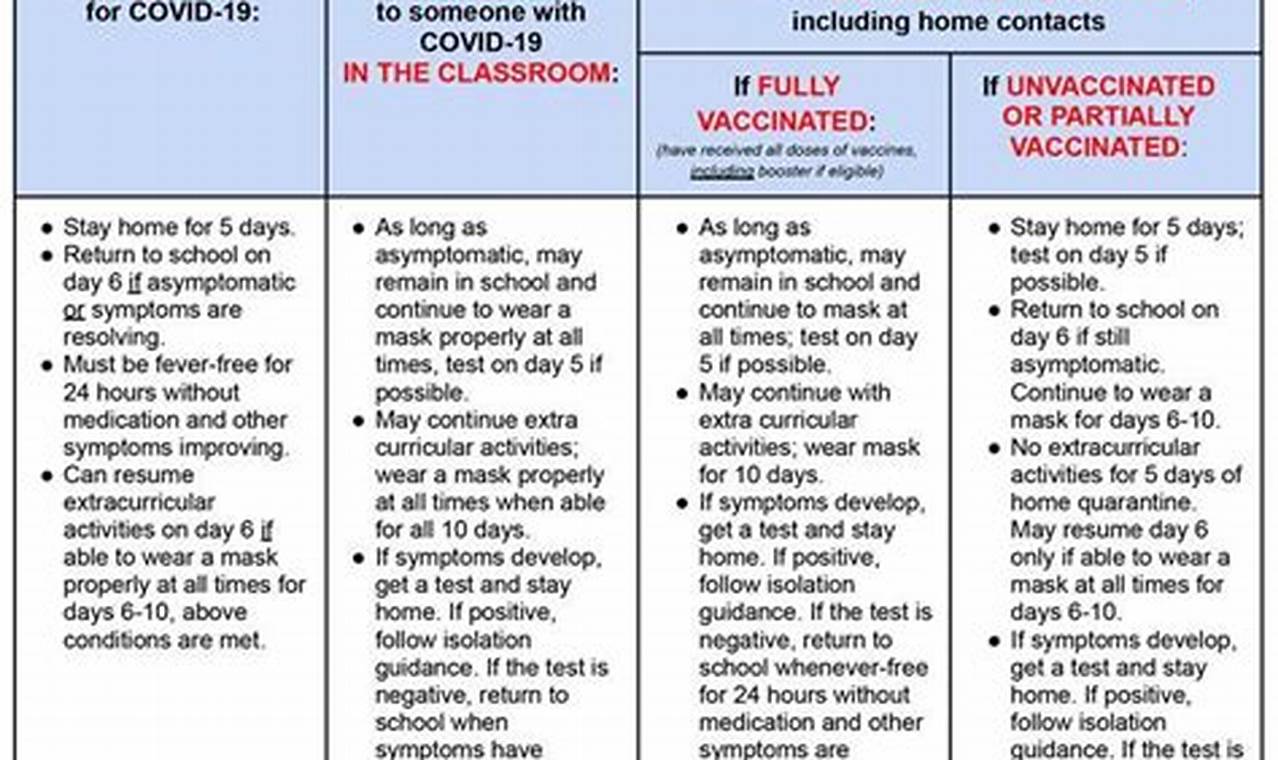 New Cdc Guidelines Covid 2024