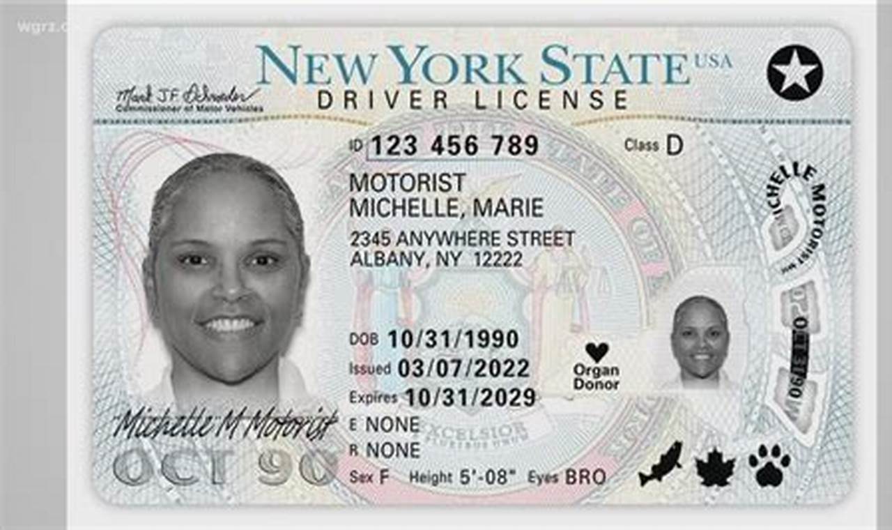 New Drivers License Requirements 2024