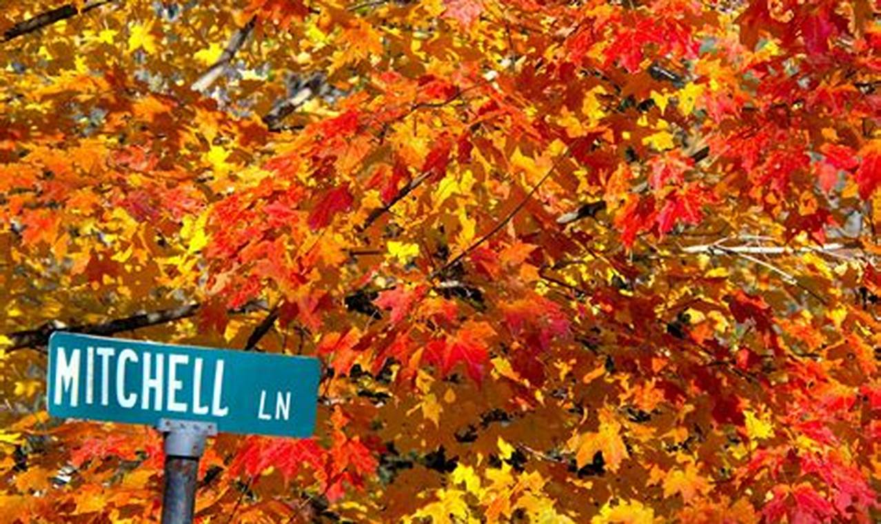 New Hampshire Fall Foliage 2024