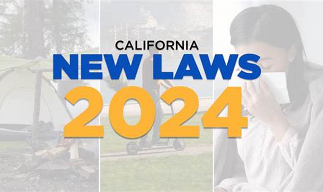 New Laws For 2024 In California