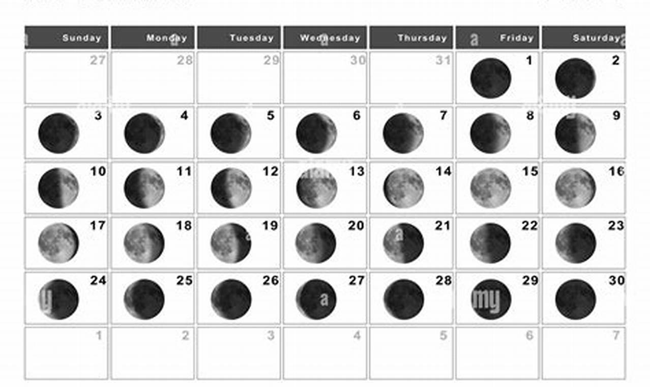 New Moon Nov 2024