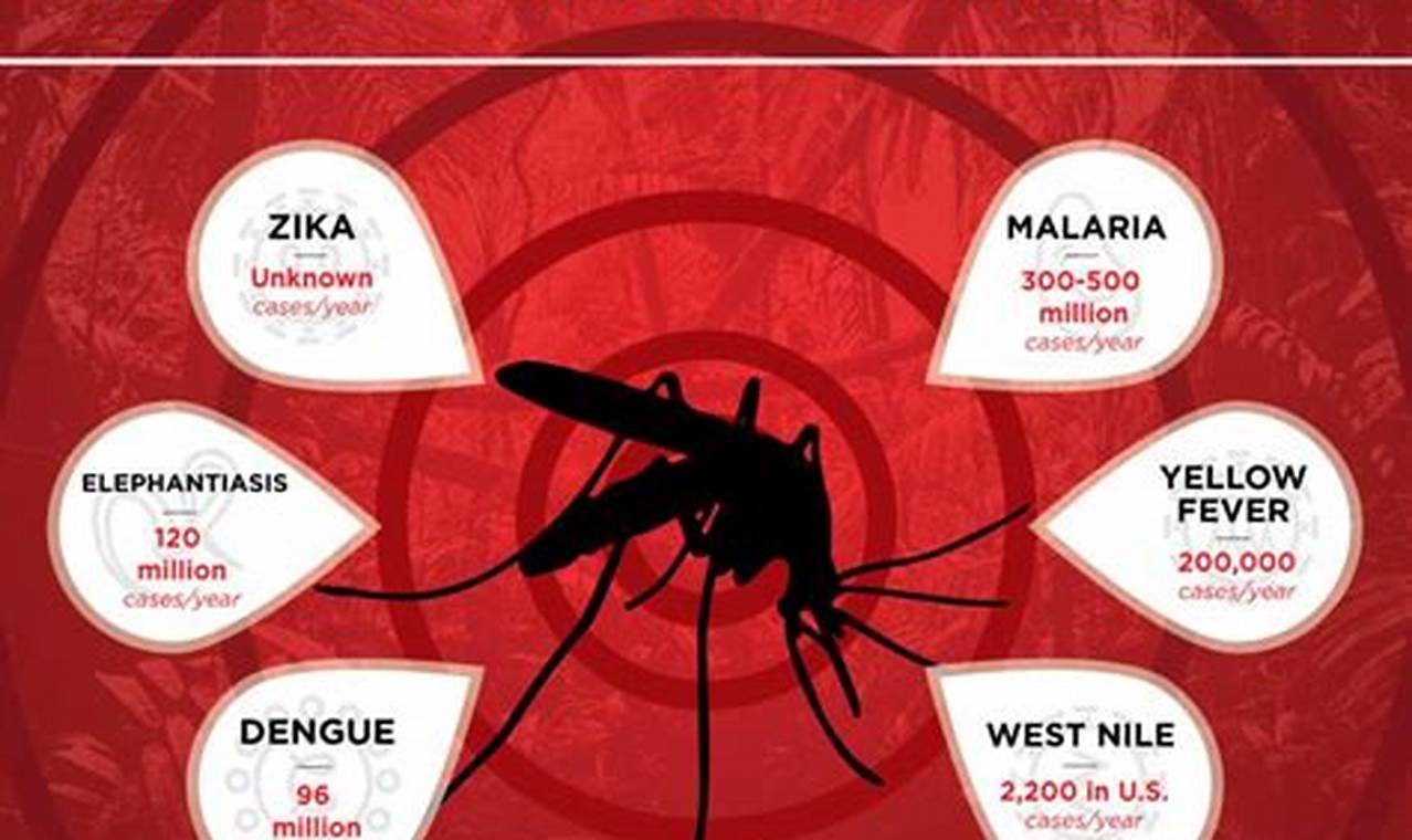 New Mosquito Virus 2024 Symptoms