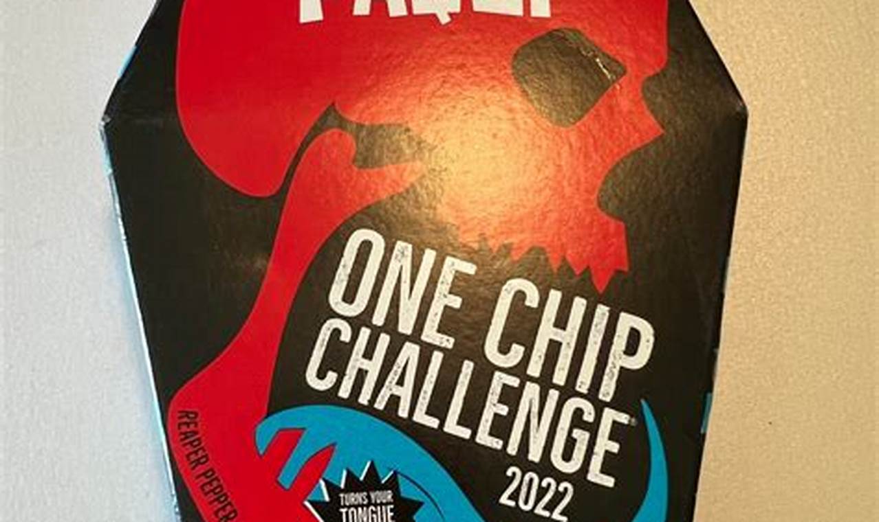 New One Chip Challenge 2024