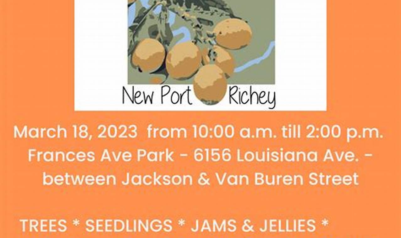 New Port Richey Carnival 2024