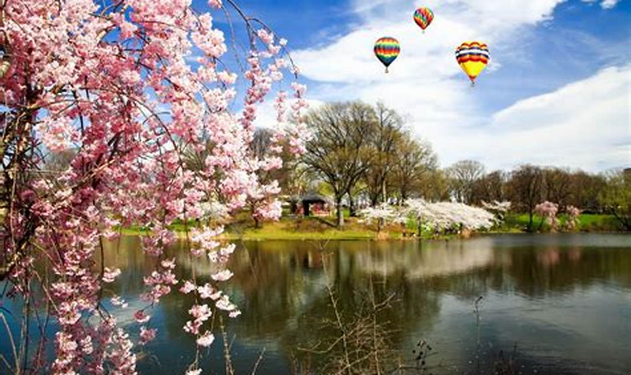 Newark Cherry Blossom 2024