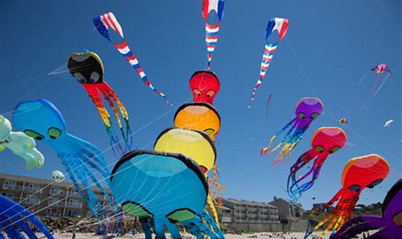Newport Kite Festival 2024