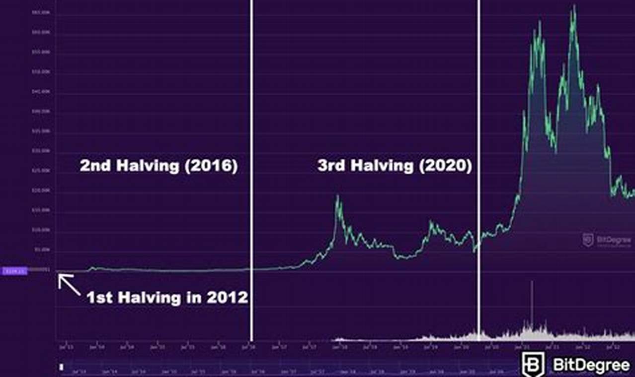 Next Bitcoin Halving 2024
