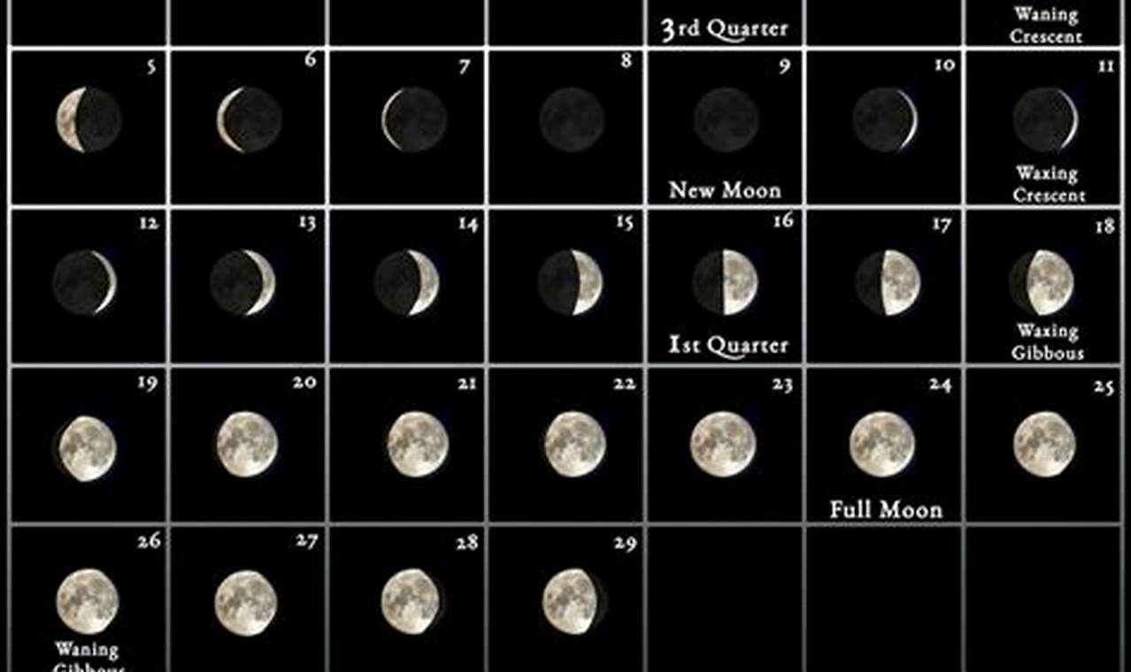 Next Full Moon 2024 February