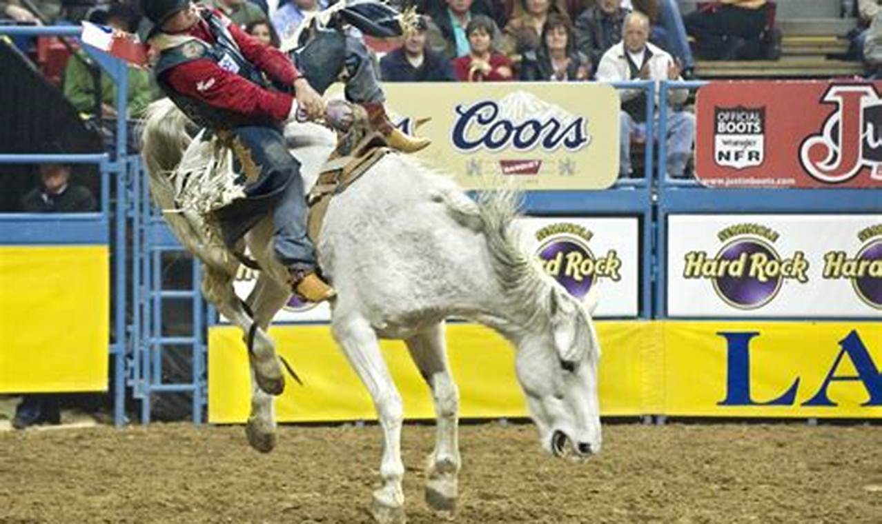 Nfr Results 2024 Round 4
