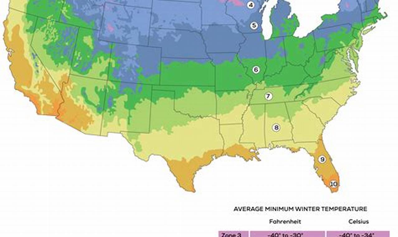 Nj Home Grow News 2024