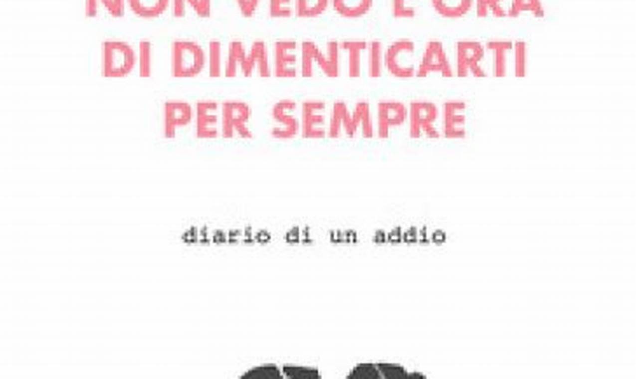 Non Vedo L'Ora Di Dimenticarti Per Sempre Libro