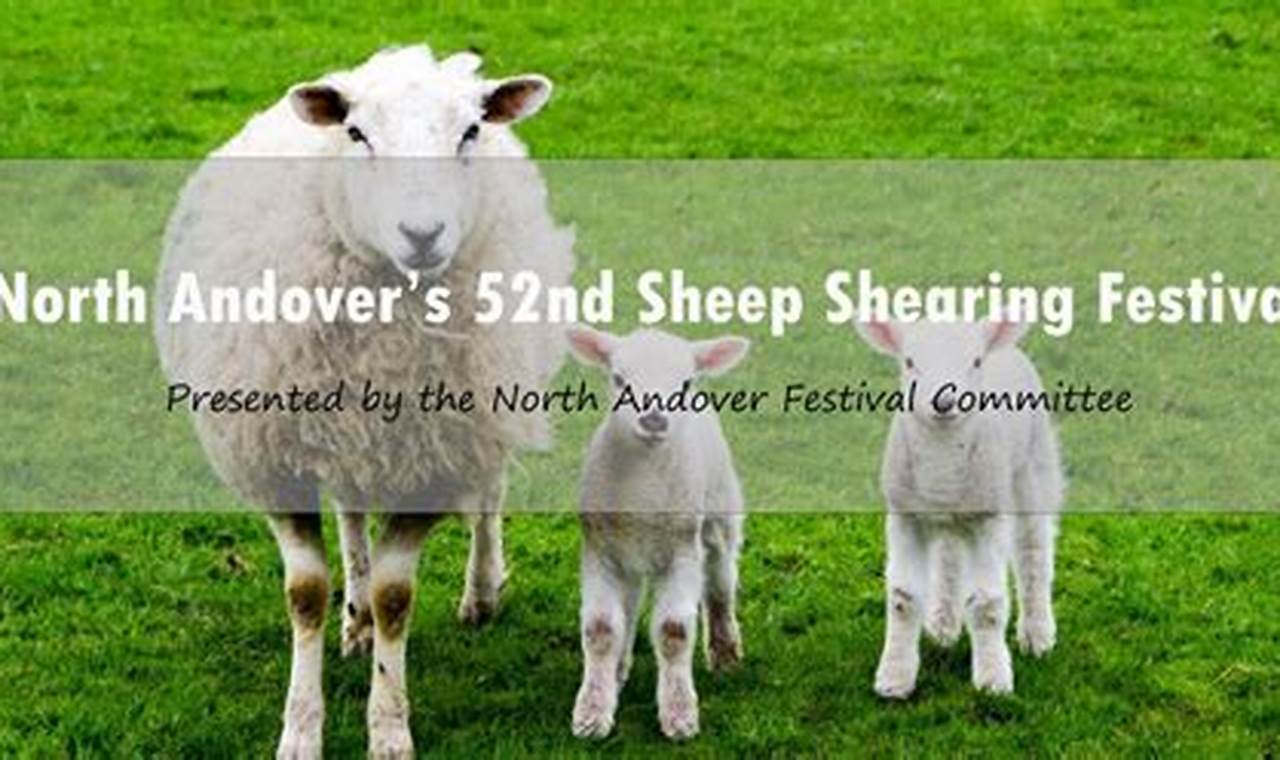 North Andover Sheep Shearing Festival 2024