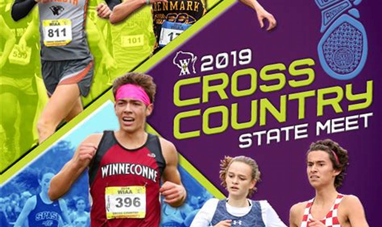 Ny State Cross Country Rankings 2024