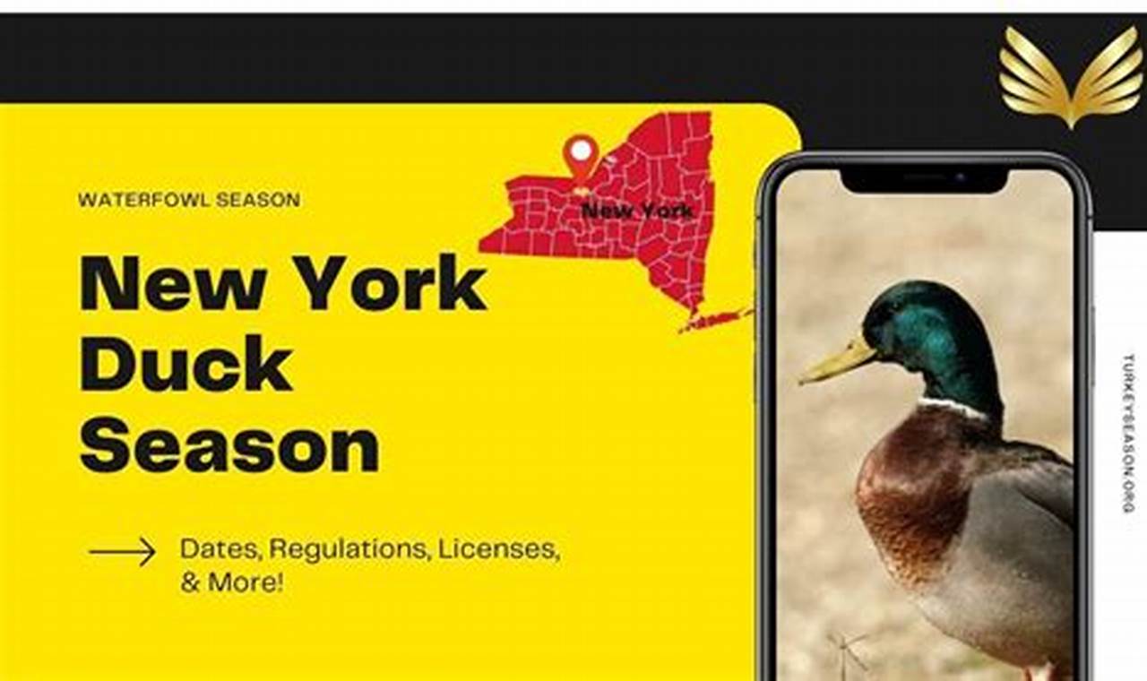 Nys Duck Season 2024 2024 Schedule