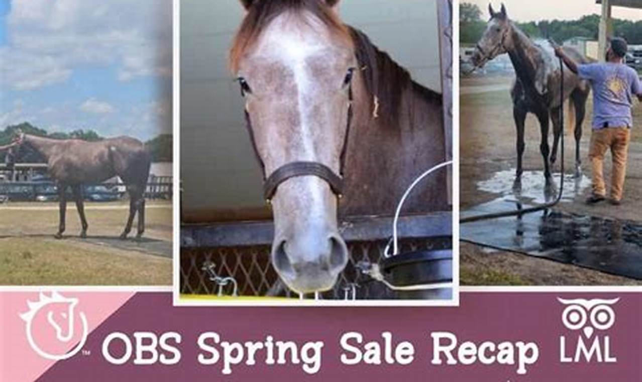 Obs Horse Sale 2024