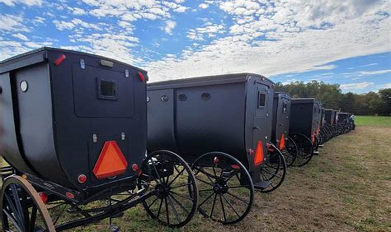 Ohio Amish Auctions 2024