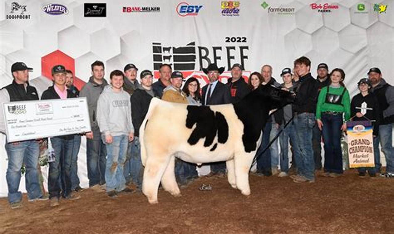 Ohio Beef Expo 2024 Sale Results