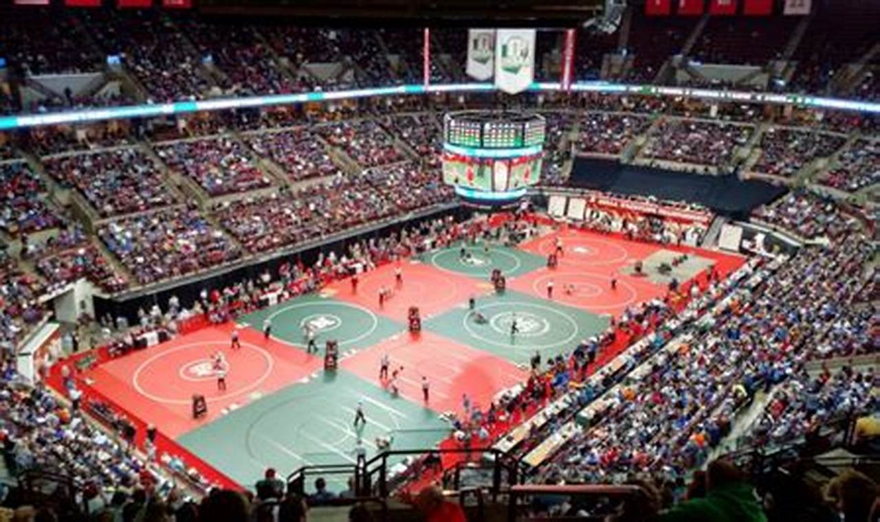 Ohsaa State Wrestling Tournament 2024