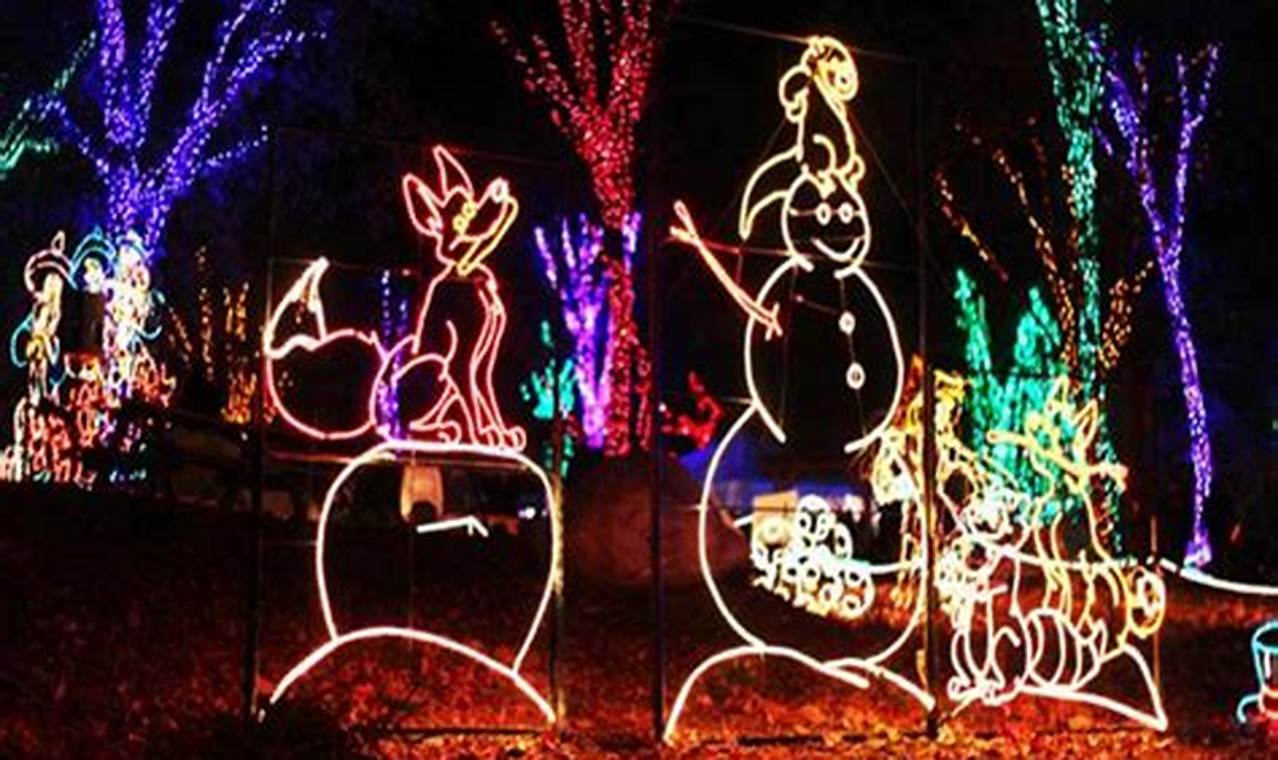 Okeeheelee Park Christmas Lights 2024
