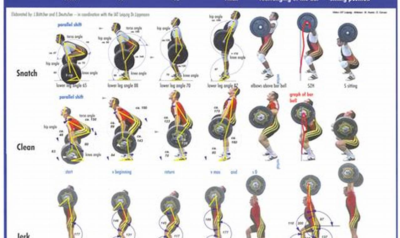 Olympic Weightlifting Weight Classes 2024