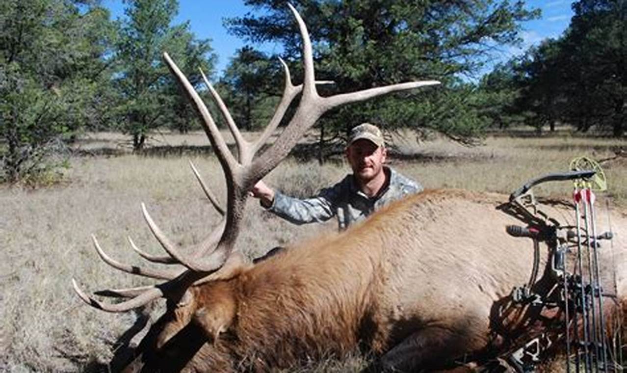 Oregon Archery Elk Season 2024