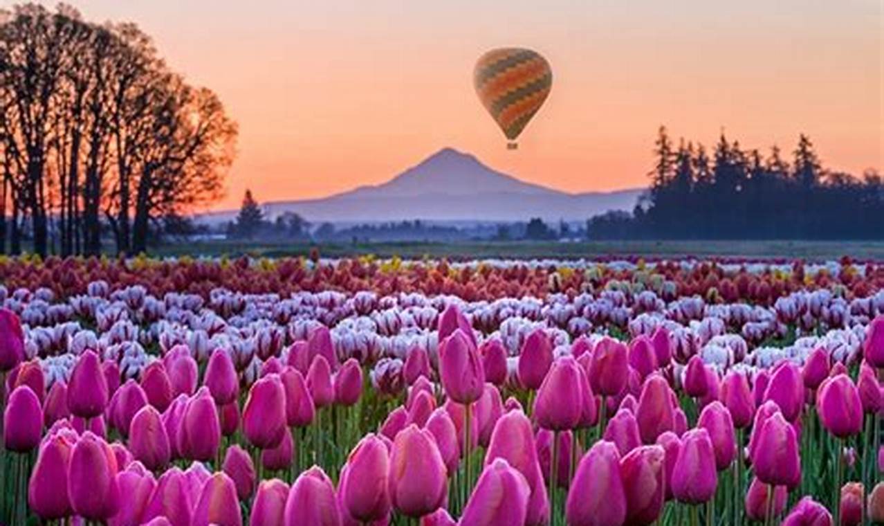 Oregon Tulip Festival 2024