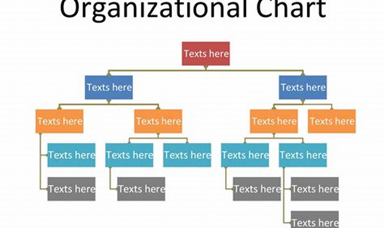 Choosing the Right Organizational Chart Template