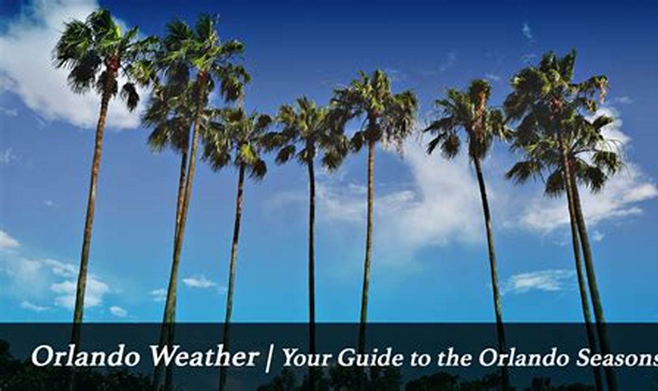 Orlando Florida Weather May 2024