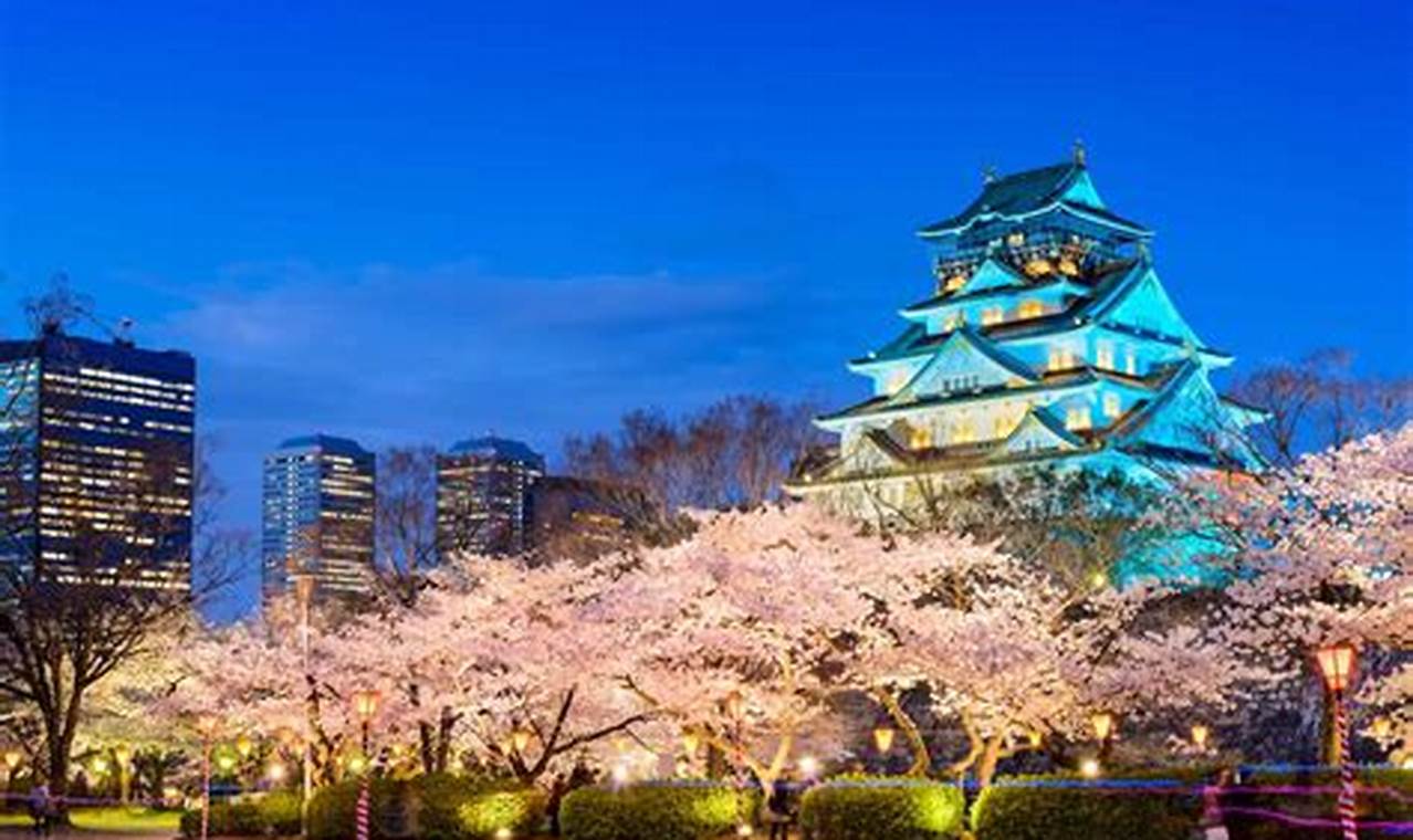 Osaka Cherry Blossoms 2024