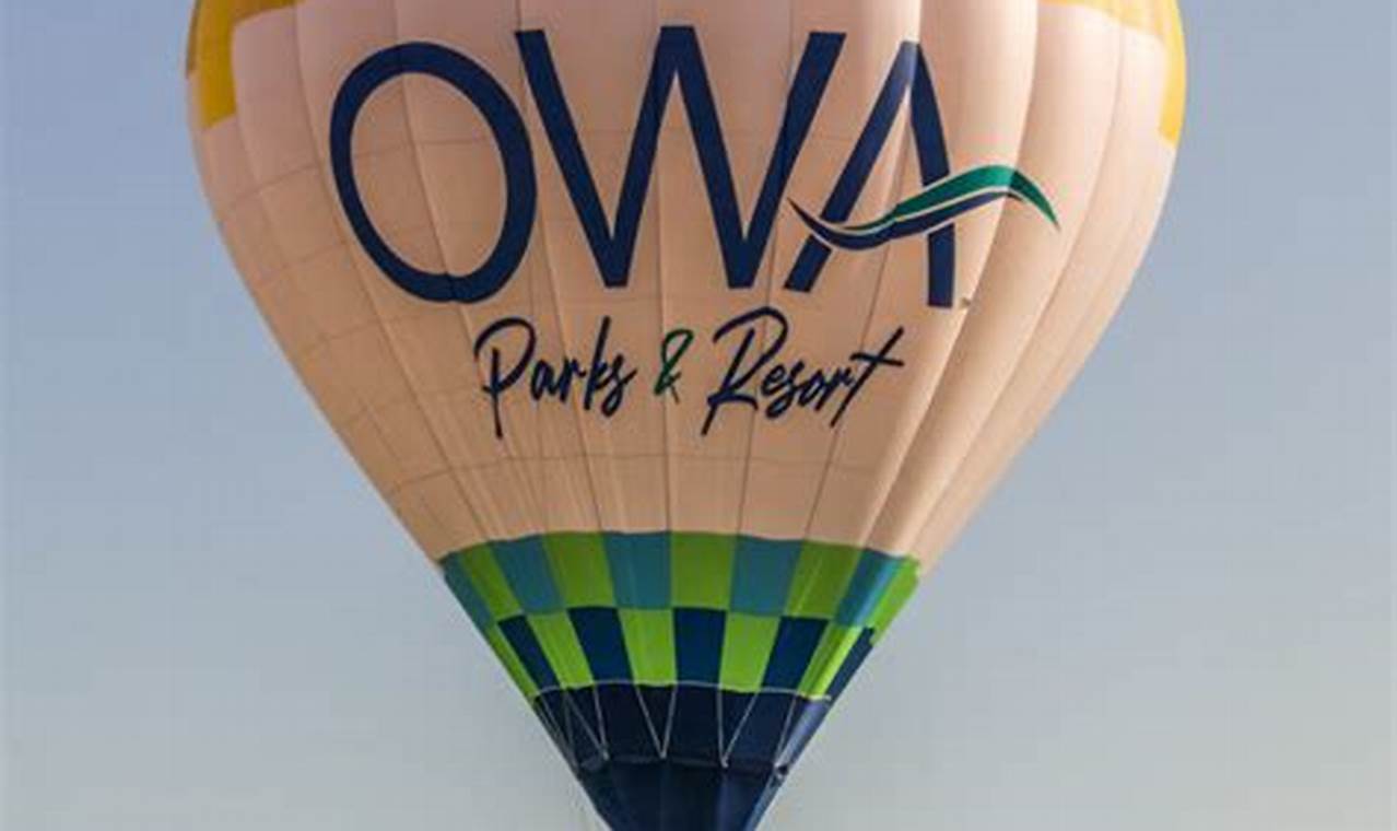 Owa Balloon Festival 2024
