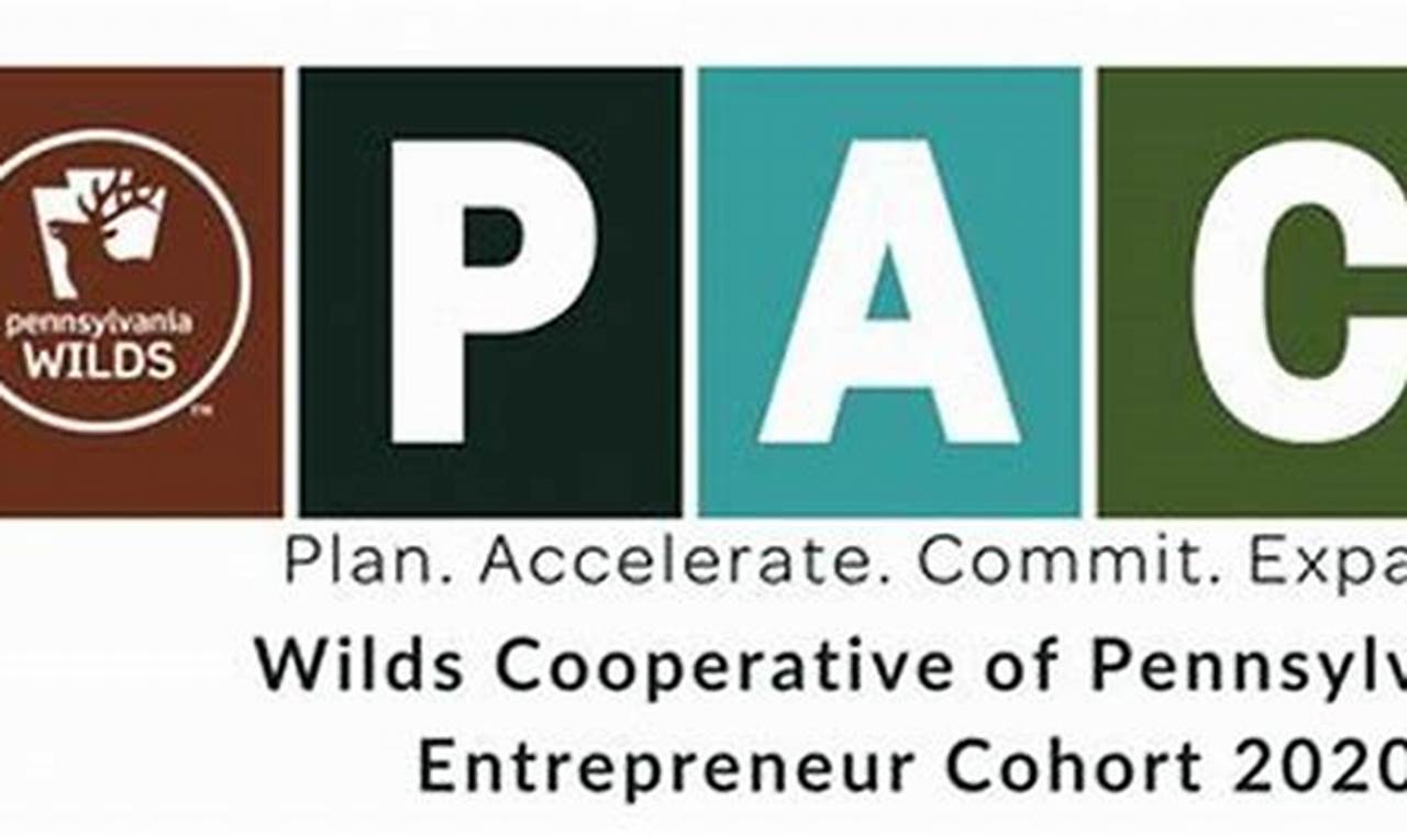 Pa Pace Program 2024