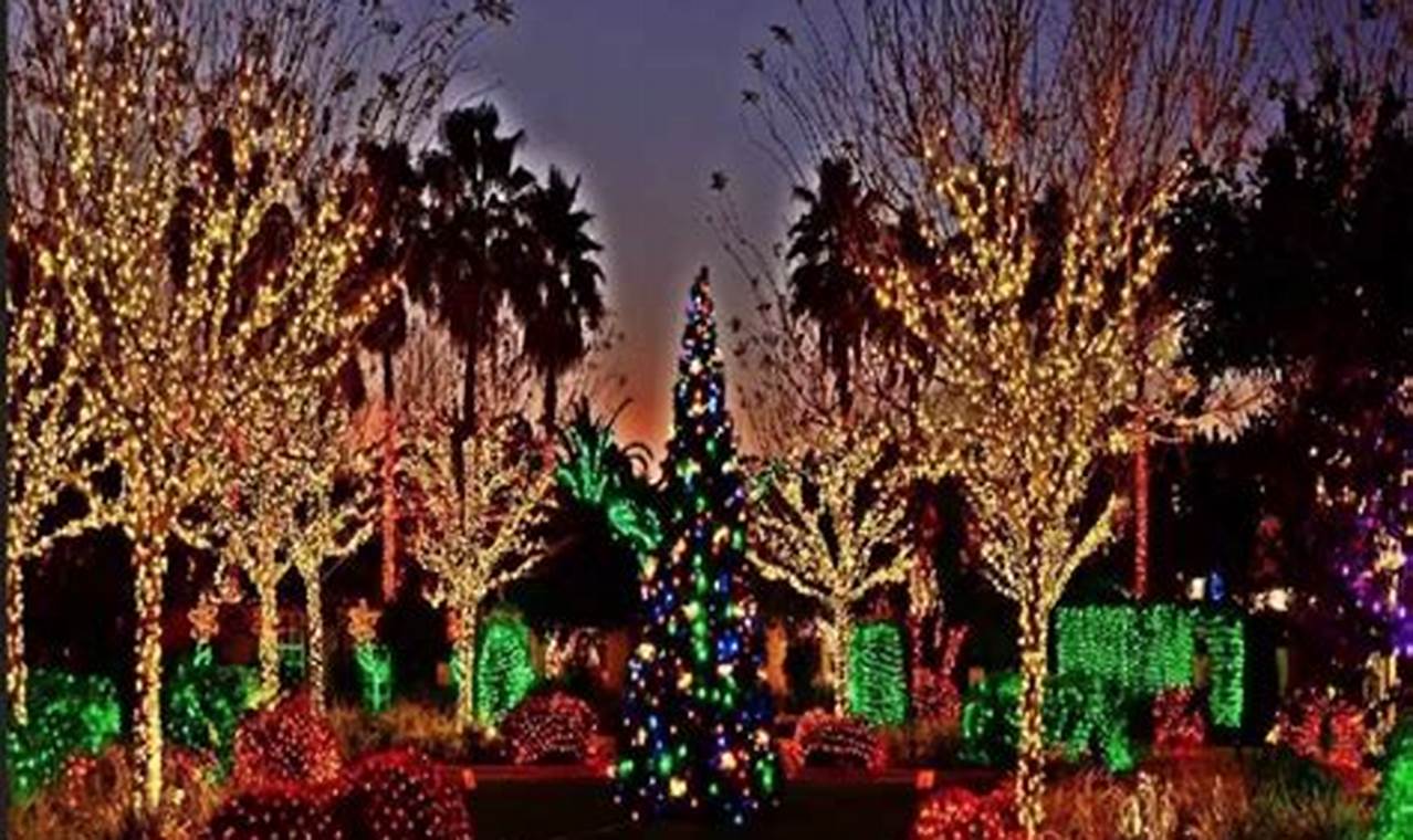 Palm Springs Christmas 2024